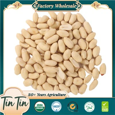 Blanchierte Erdnusskerne 25/29 24 Ernte