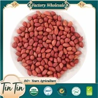 Neue Ernte rote Haut 50-60
